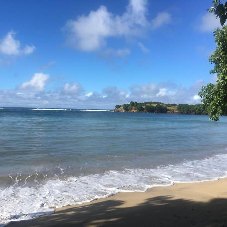 Studio Ana Martinique Ла Трините Екстериор снимка