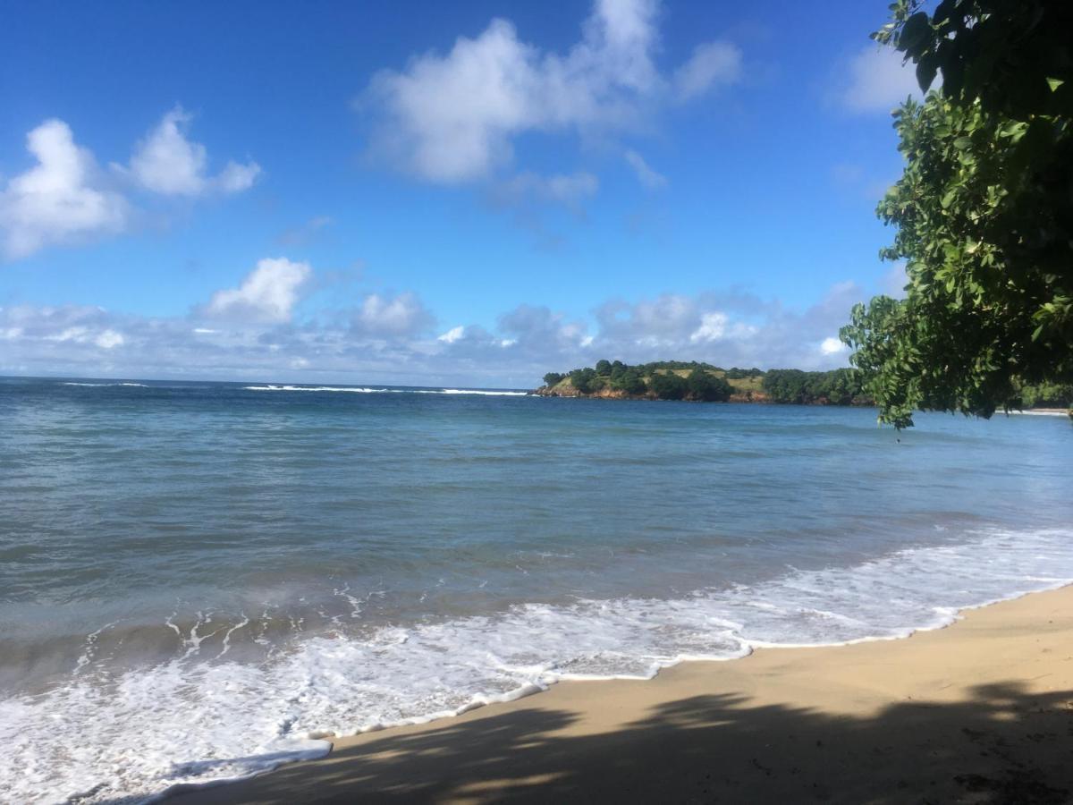 Studio Ana Martinique Ла Трините Екстериор снимка